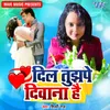 About Dil Tujhape Diwana Hai Song